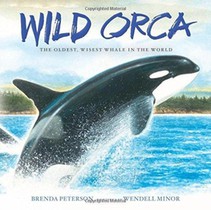 Wild Orca