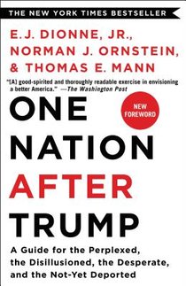 One Nation After Trump