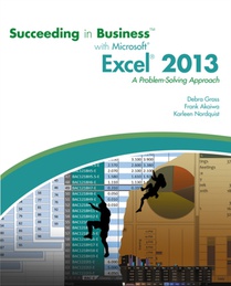 Succeeding in Business with Microsoft (R) Excel (R) 2013