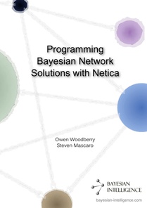 Programming Bayesian Network Solutions with Netica