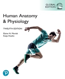 Human Anatomy & Physiology, Global Edition voorzijde