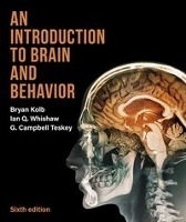 An Introduction to Brain and Behavior voorzijde