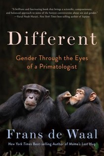 DIFFERENT 8211 GENDER THROUGH THE EY