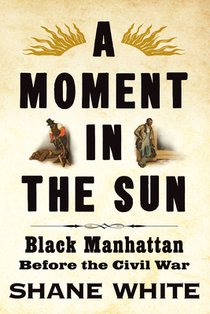 Moment in the Sun