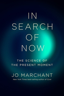 In Search of Now: The Science of the Present Moment