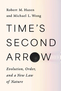 Time's Second Arrow