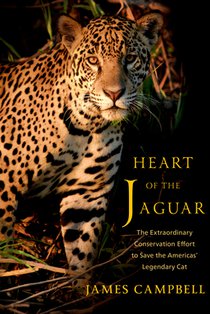 Heart of the Jaguar