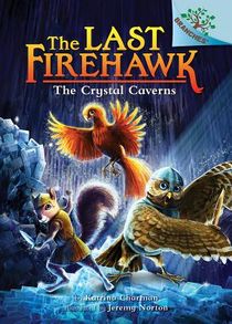 The Crystal Caverns: A Branches Book (the Last Firehawk #2): Volume 2 voorzijde