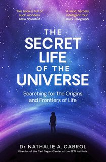 The Secret Life of the Universe