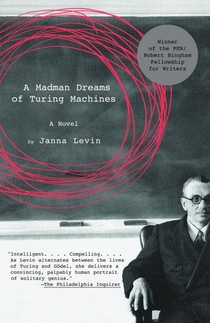 Levin, J: Madman Dreams of Turing Machines