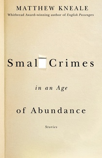 SMALL CRIMES IN AN AGE OF ABUN