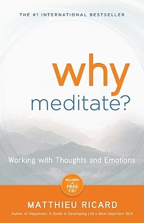 WHY MEDITATE