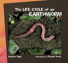 The Life Cycle of an Earthworm