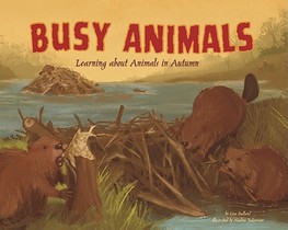 Busy Animals: Learning about Animals in Autumn