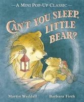Can't You Sleep, Little Bear? voorzijde
