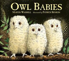 Owl Babies voorzijde