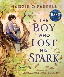 The Boy Who Lost His Spark voorzijde