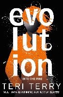 Dark Matter: Evolution