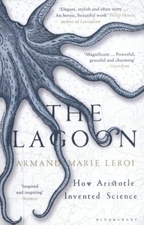 The Lagoon