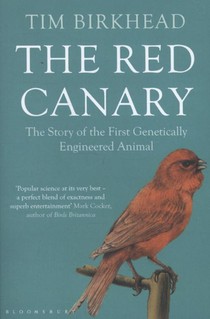 The Red Canary