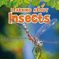 Learning about Insects