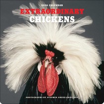 Extraordinary Chickens 2026 Wall Calendar