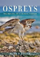 Ospreys