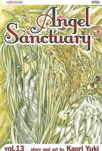 Angel Sanctuary, Vol. 13