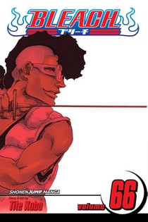 Bleach, Vol. 66
