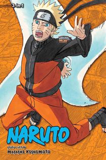 Naruto (3-in-1 Edition), Vol. 19 voorzijde