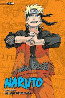 Naruto (3-in-1 Edition), Vol. 22 voorzijde