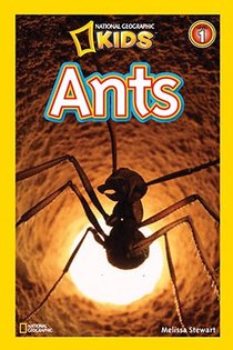 Ants (National Geographic Kids Readers, Level 1)