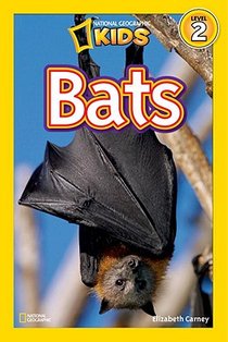 National Geographic Kids Readers: Bats voorzijde