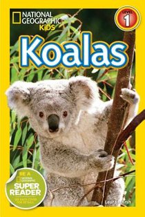Koalas (National Geographic Kids Readers, Level 1)