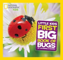 Little Kids First Big Book of Bugs voorzijde