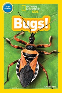 National Geographic Kids Readers: Bugs