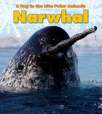 Narwhal voorzijde