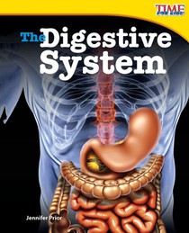 The Digestive System