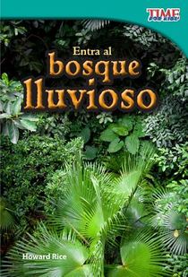 Entra Al Bosque Lluvioso