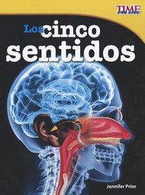 Los Cinco Sentidos