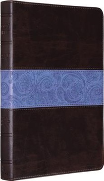 Thinline Bible-ESV-Paisley Band Design