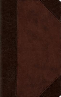 ESV Large Print Compact Bible