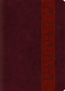 ESV Study Bible, Large Print voorzijde