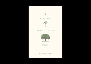 How Does Sanctification Work? voorzijde