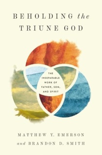 Beholding the Triune God voorzijde