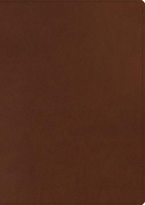 ESV Chronological Bible