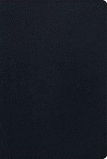 ESV Men's Study Bible