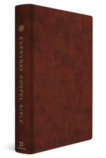 ESV Everyday Gospel Bible voorzijde