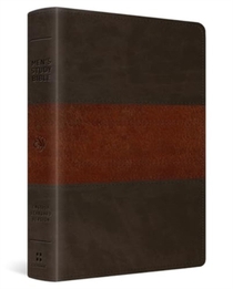 ESV Men's Study Bible