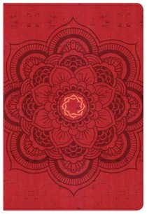 CSB Essential Teen Study Bible, Red Flower Cork LeatherTouch